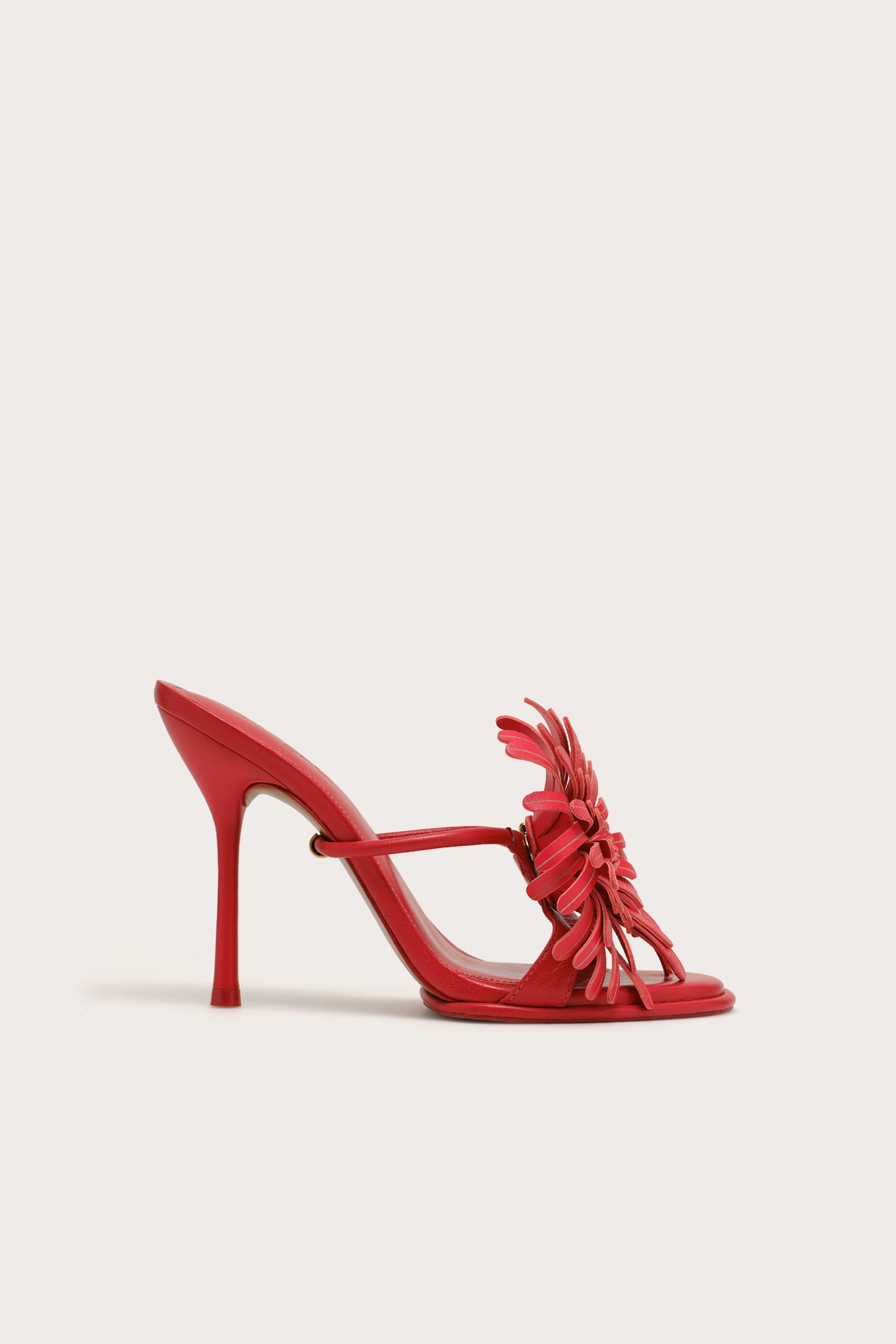 CARLASANDAL_VM_260123_Cult-Gaia_Product15235_W1a_WEBBED-scaled