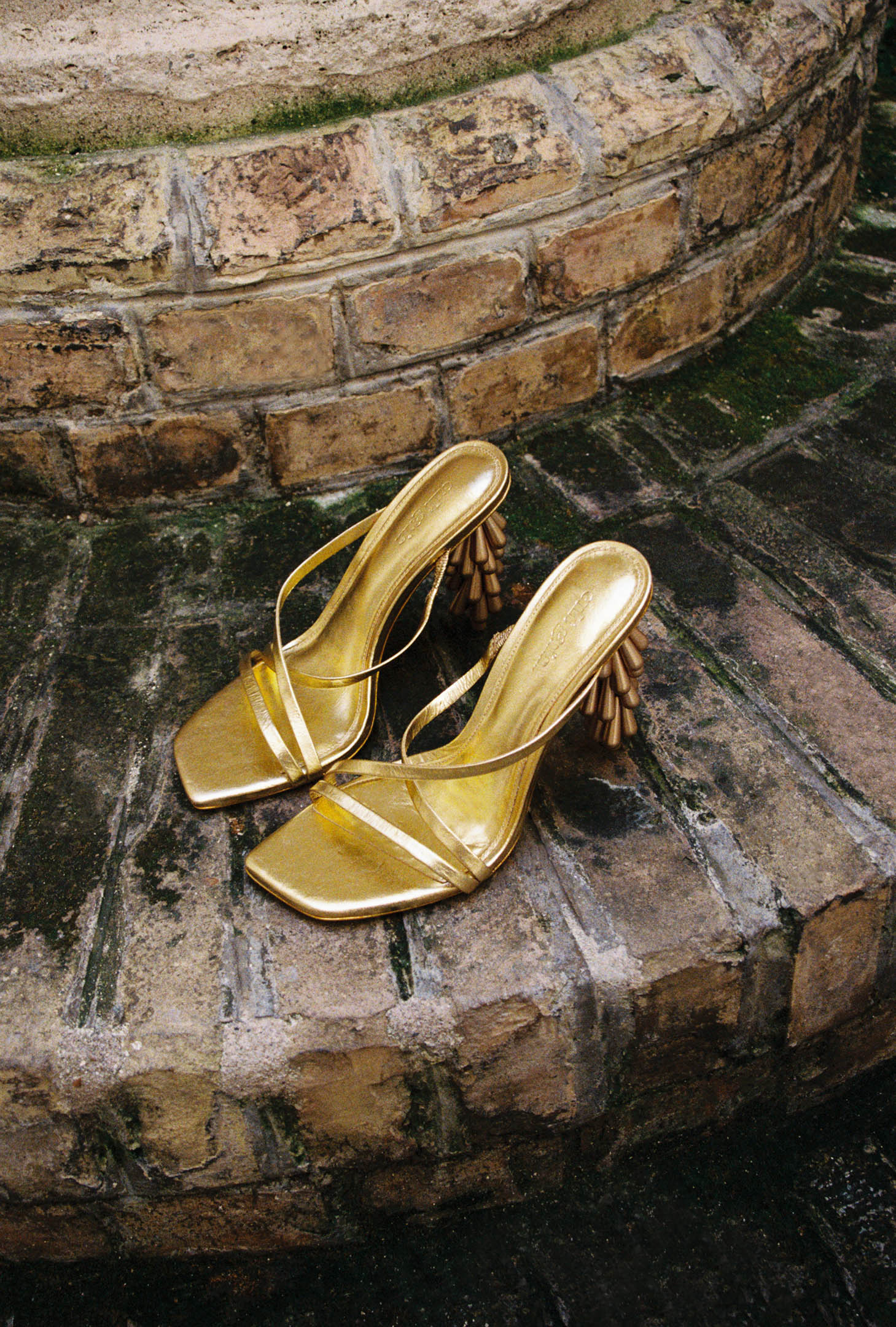 VANE315-099_webbed
